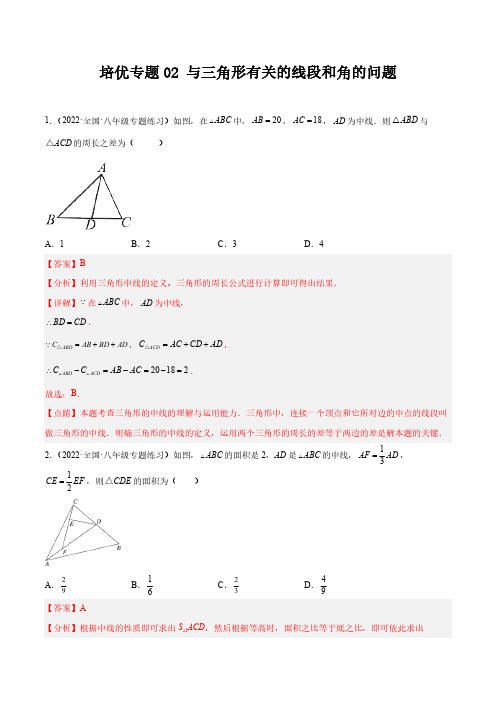 培优专题02 与三角形有关的线段和角的问题-解析版