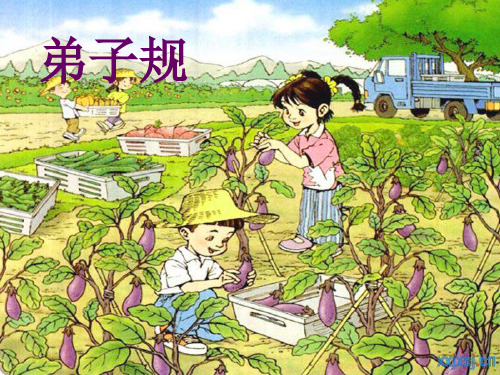 彼说长 此说短