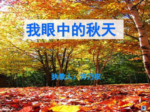 《我眼中的秋天》作文指导课(课堂PPT)