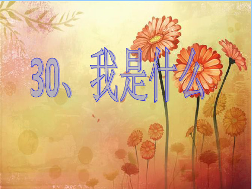 人教版小学二年级语文上册30《我是什么》PPT课件