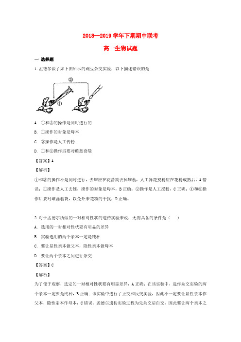 河南省开封市、商丘市九校2018_2019学年高一生物下学期期中联考试题(含解析)