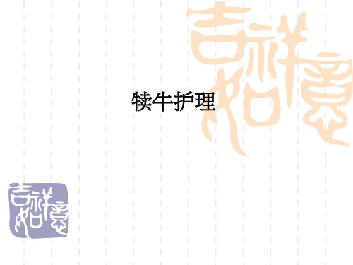犊牛护理ppt课件