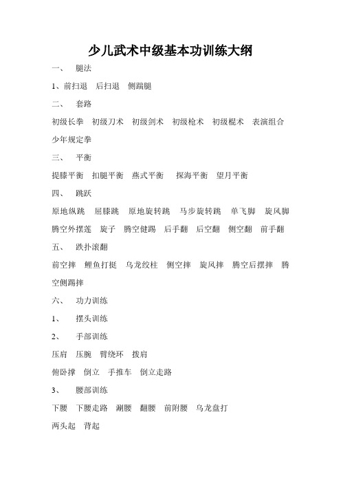 少儿武术中级基本功