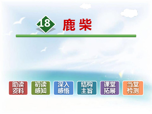《鹿柴》 ppt优秀课件