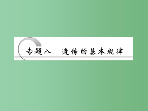 高考生物二轮复习 第二部分 专题八 遗传的基本规律课件(通用版)