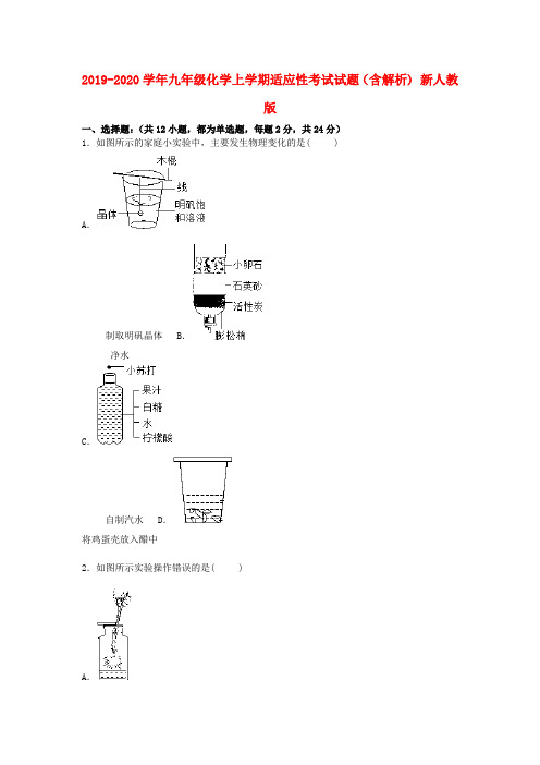 2019-2020学年九年级化学上学期适应性考试试题(含解析) 新人教版