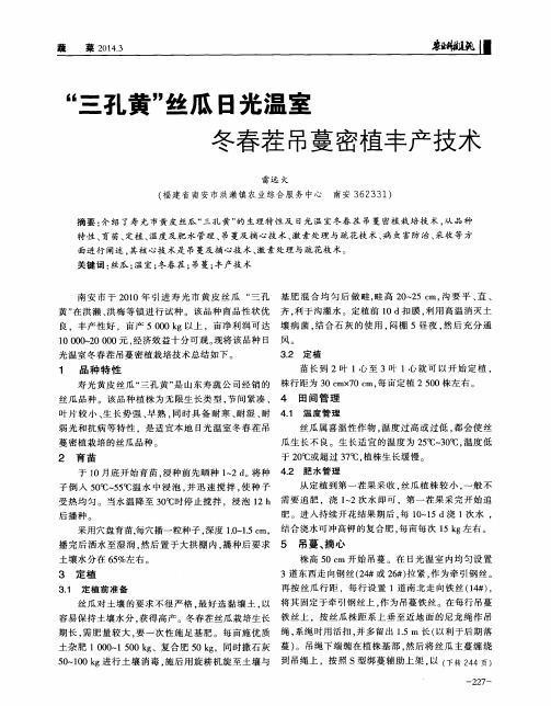 “三孔黄”丝瓜日光温室冬春茬吊蔓密植丰产技术
