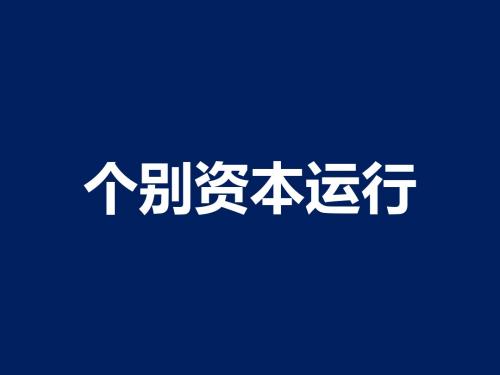 个别资本运行