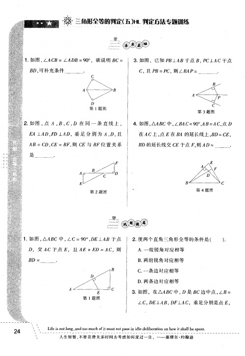 三角形全等的判定(五)HL判定方法专题训练