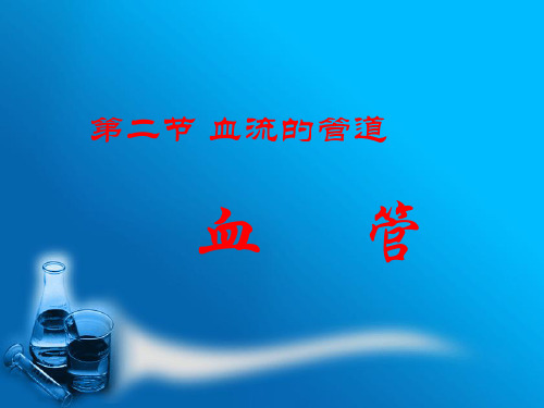 血管