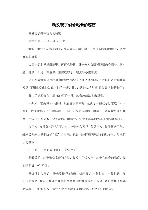 我发现了蜘蛛吃食的秘密_小学一年级作文600字