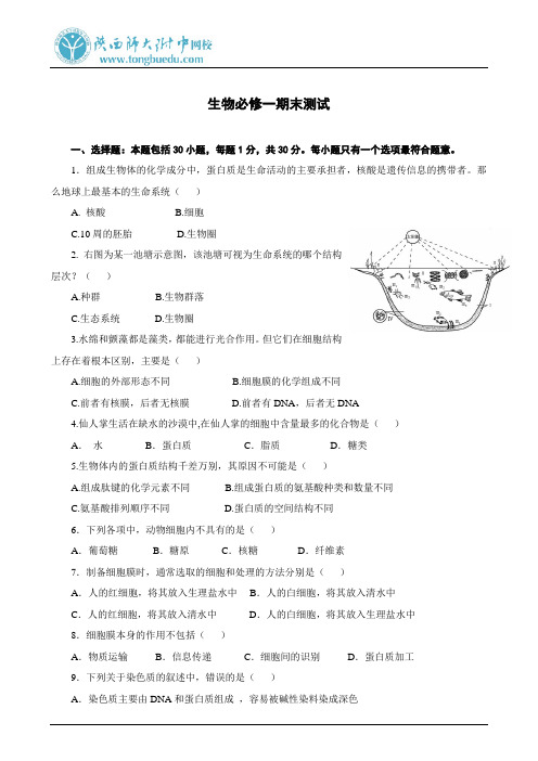 生物必修一期末