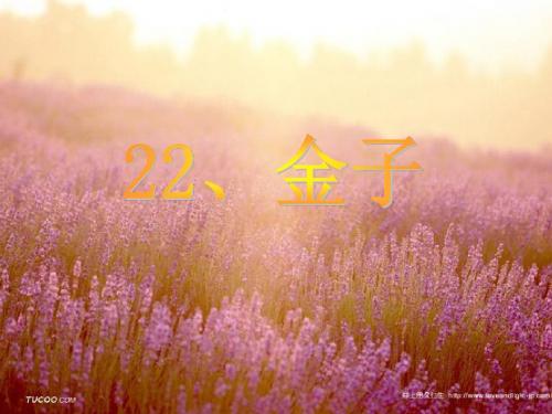 《金子》ppt课件2