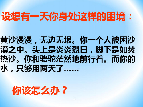 《鲁滨孙漂流记》完整PPT课件