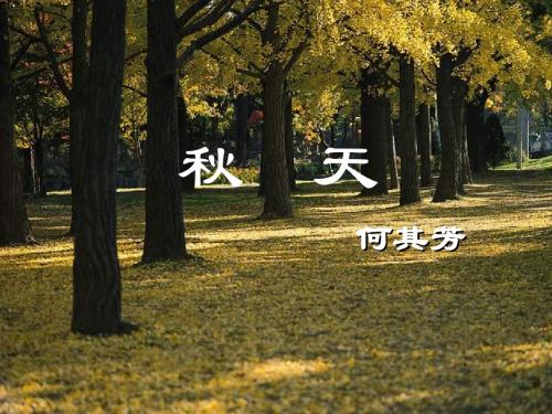 七年级语文秋天2