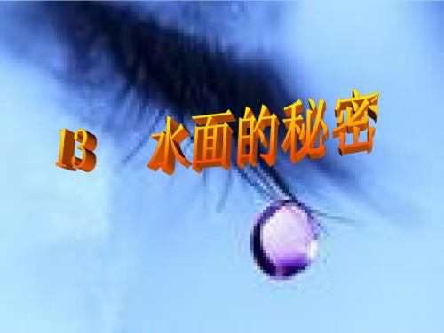 水面的秘密_课件