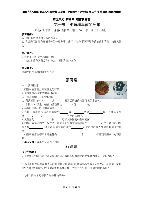 部编RJ人教版 初二八年级生物 上册第一学期秋季(导学案)第五单元 第四章 细菌和真菌(全章 )