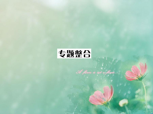 《与名师对话》高考总复习(JS版)高三化学专题整合4