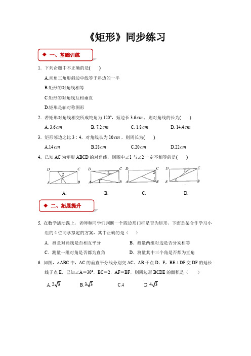 华东师大版八年级数学下册 同步练习矩形