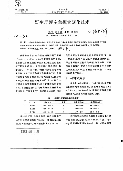 野生牙鲆亲鱼摄食驯化技术