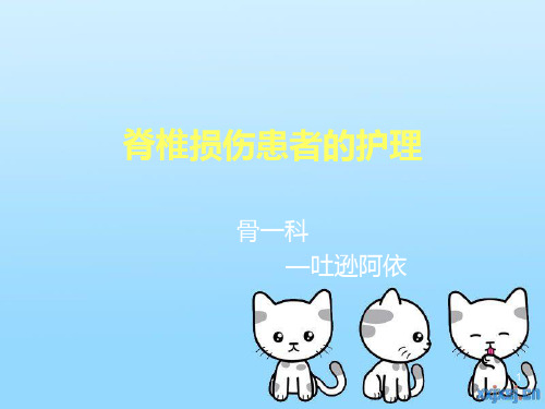 脊柱损伤护理ppt课件