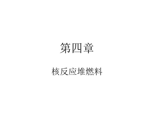 核电厂核燃料ppt介绍原理