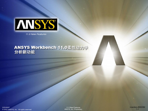 ansys11.0柔体动力学分析