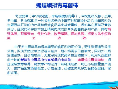蝙蝠蛾拟青霉菌株