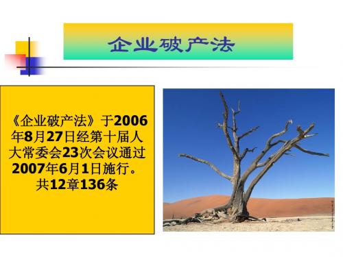 最新 破产法