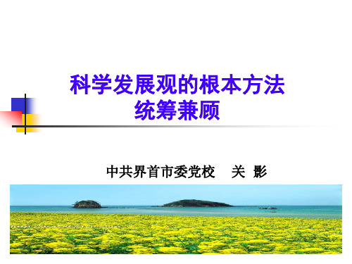 科学发展观的根本方法