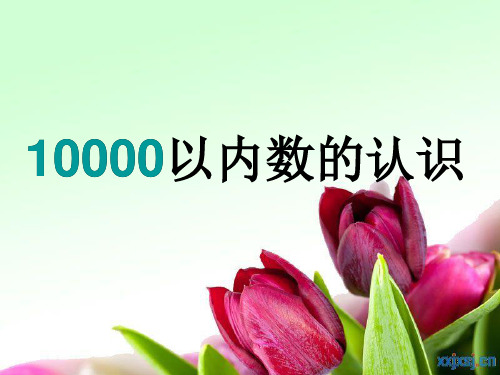 10000以内数的认识1