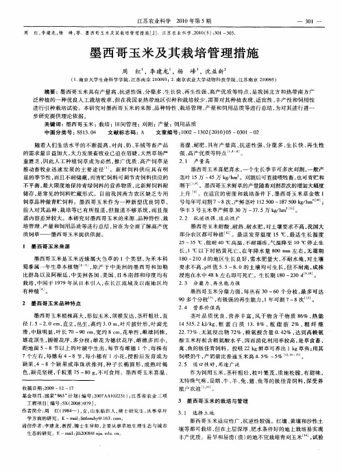 墨西哥玉米及其栽培管理措施