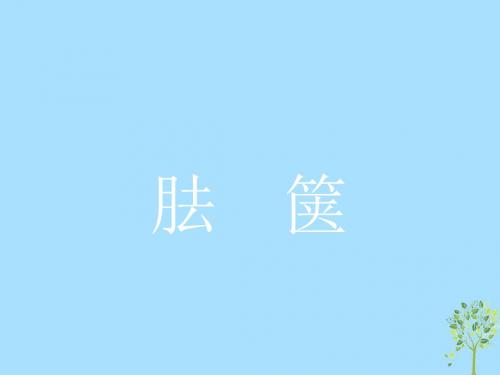 高中语文新人教版选修《中国文化经典研读》课件(23份)10