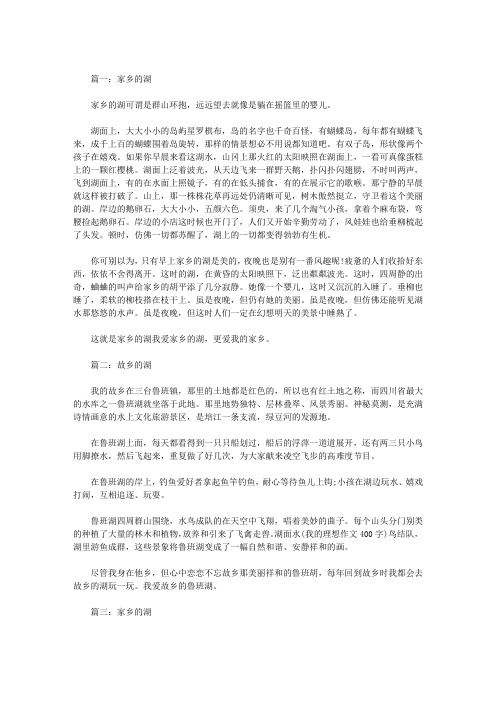 故乡的湖作文6篇