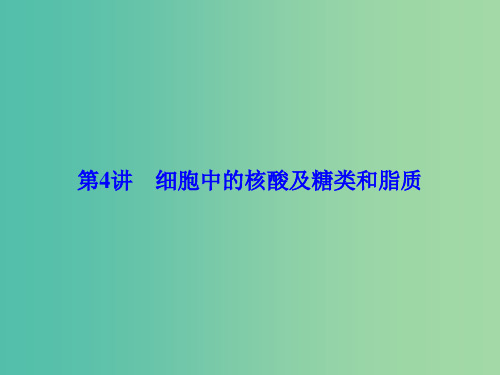 高考生物一轮总复习 第一单元 走近细胞与细胞的分子组成 第4讲 细胞中的核酸及糖类和脂质课件(必修1