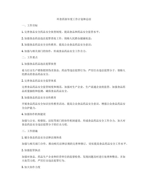 环食药侦年度工作计划和总结