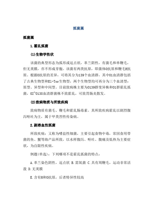 医学知识之弧菌属