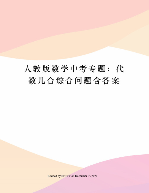 人教版数学中考专题：代数几合综合问题含答案