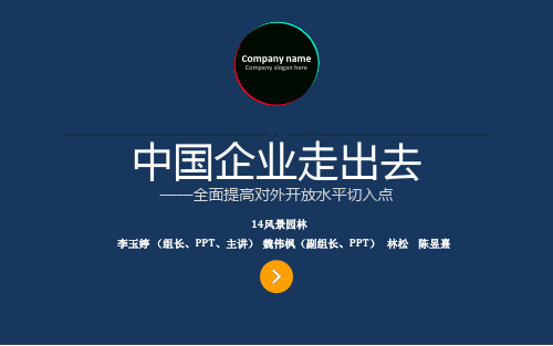 中国企业走出去PPT课件