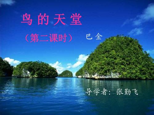 《鸟的天堂》ppt课件