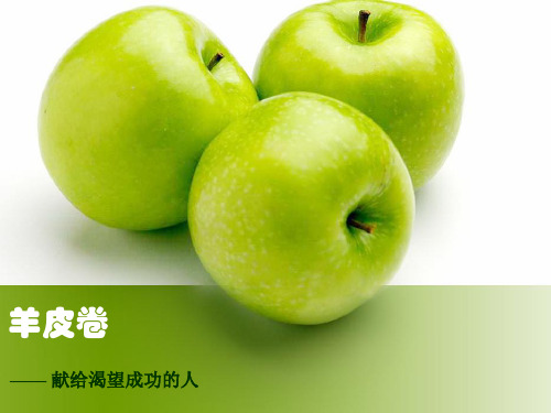 羊皮卷