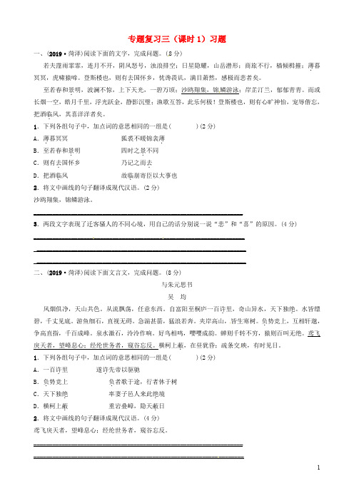 菏泽专版中考语文专题复习课时习题