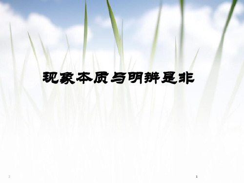 哲学与人生15.现象与本质(课堂PPT)