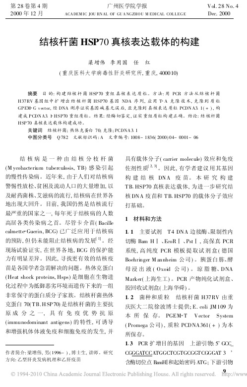 结核杆菌HSP70真核表达载体的构建