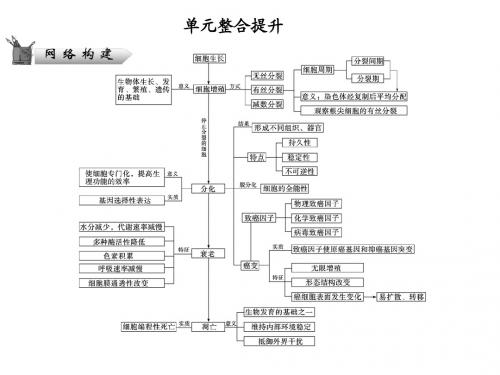 2013高考生物(苏教版)二轮复习课件 1-5单元整合提升