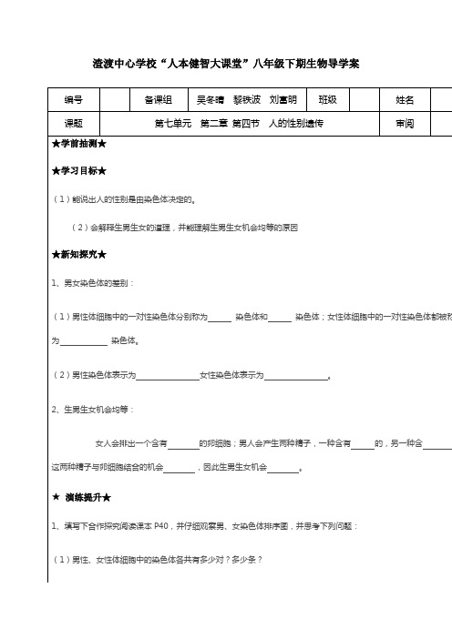 人的性别遗传导学案