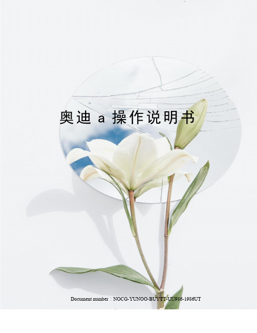 奥迪a操作说明书