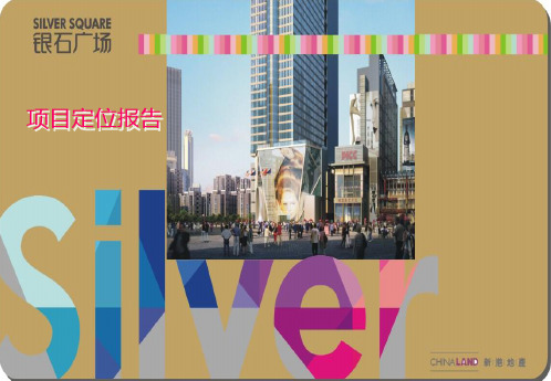 银石广场定位报告
