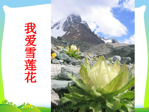 人音版二年级音乐《我爱雪莲花》课件2