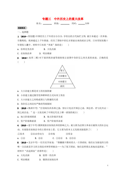 (淄博精品推荐)2019届中考历史复习 专题三 中外历史上的重大改革练习【优品】
